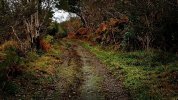 IMG_1703.jpg
