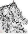 IMG_7677.jpeg