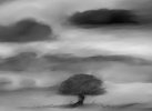 IMG_0327.jpeg