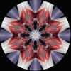 IMG_0432.jpeg