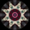 IMG_0340.jpeg