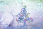 IMG_0355.jpeg