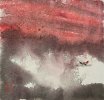 IMG_7995.jpeg