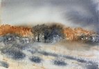 IMG_8076.jpeg