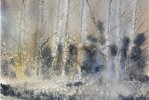 IMG_8084.jpeg