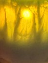 IMG_0489.jpeg