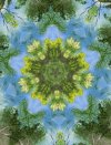 IMG_0717.jpeg
