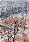 IMG_8227.jpeg