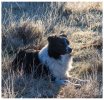 Afbeelding van WhatsApp op 2025-02-03 om 08.11.14_3c12e260.jpg