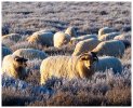 Afbeelding van WhatsApp op 2025-02-03 om 08.11.14_953455fa.jpg