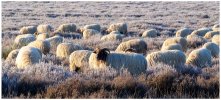 Afbeelding van WhatsApp op 2025-02-03 om 08.11.14_c8802f11.jpg