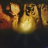 IMG_0774.jpeg