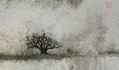 IMG_8298.jpeg