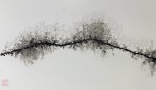IMG_8319.jpeg