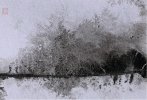 IMG_8352.jpeg