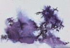 IMG_0812.jpeg