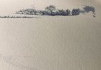 IMG_0814.jpeg