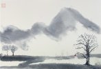 IMG_8434.jpeg