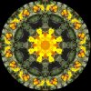 IMG_0830.jpeg