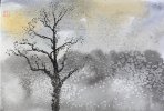 IMG_8540.jpeg