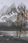 IMG_8568.jpeg