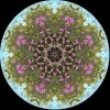 IMG_0965.jpeg