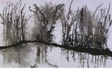 IMG_8625.jpeg