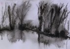IMG_8630.jpeg