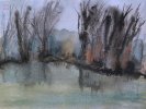 IMG_8635.jpeg