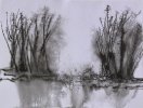 IMG_8637.jpeg