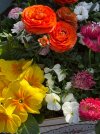IMG_0173.jpg