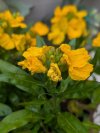 IMG_0869.jpeg