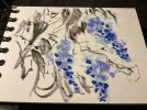 IMG_1110.jpeg