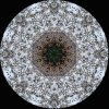 IMG_1210.jpeg