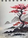 IMG_1244.jpeg