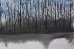 IMG_8781.jpeg
