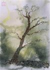 IMG_8858.jpeg