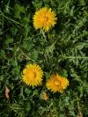 IMG_1320.jpeg