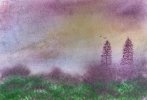 IMG_8879.jpeg