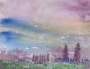 IMG_8878.jpeg
