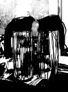 IMG_1448.jpeg