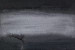 IMG_8933.jpeg