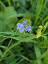 IMG_1449.jpeg