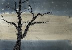 IMG_8956.jpeg