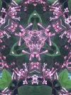 IMG_1483.jpeg