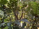IMG_1738.jpeg
