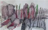 IMG_9145.jpeg