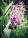 IMG_1760.jpeg