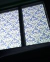 20250624_081604.jpg