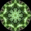 IMG_1787.jpeg